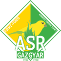 logo: BVB Akadémia Gázgyár